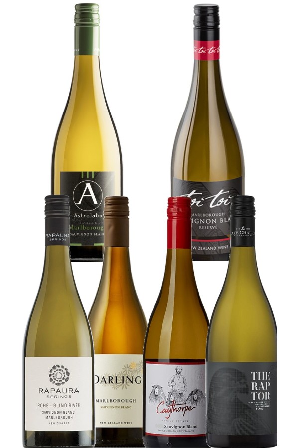 Savvy Sipper Sauvignon Blanc Case Of Six